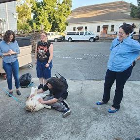 Attendees at the Fall Student-Alumni Reception.
