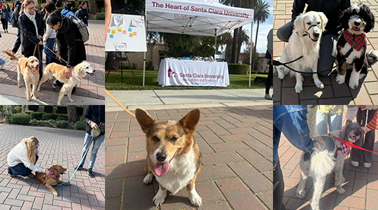 The CAS Student Engagement Team hosted a 