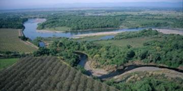 Riparian forests along the Sacramento River floodplain. Taken by Geoff Fricker, used with permission. 