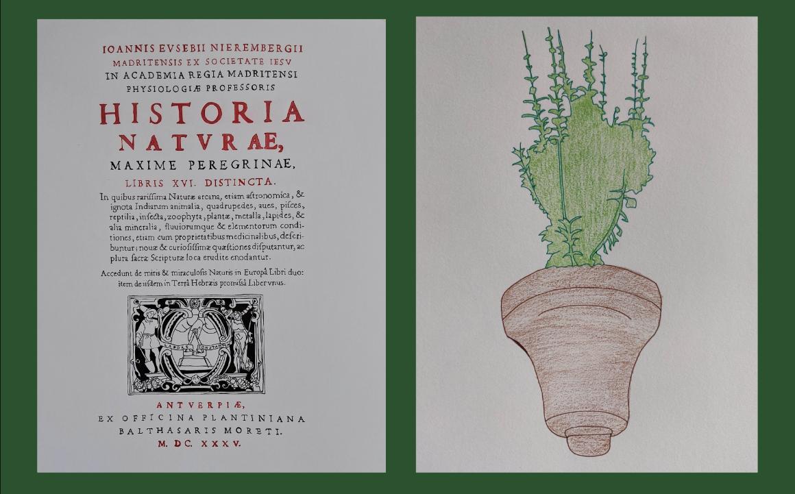 Pen and ink drawing of book cover paired with sketch of an inverted bell featuring a plant growing from it