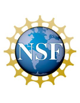 NSF Logo