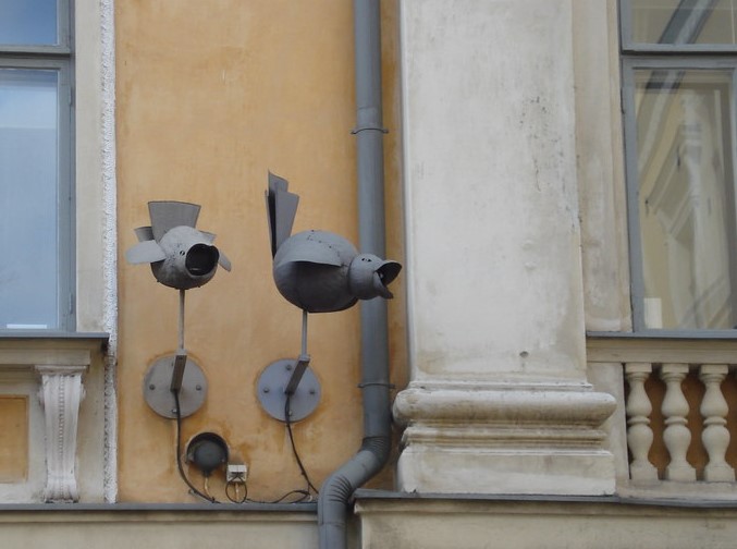 cameras designed to look like birds
