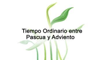 Tiempo Ordinario entre Pascua y Adviento
