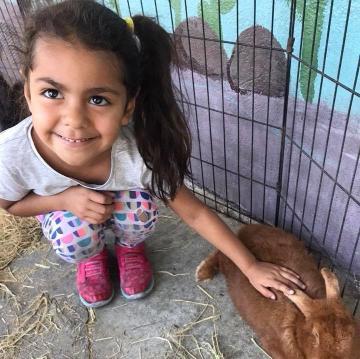 Estrella Family Services