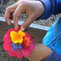 A hand holding a colorful flower arrangement.