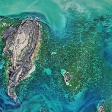 Bannan 16-18 Environmental Justice banner/logo/icon, square version (version 2)