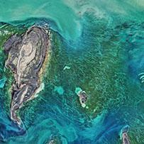 Satellite view of Earth's land and ocean currents.