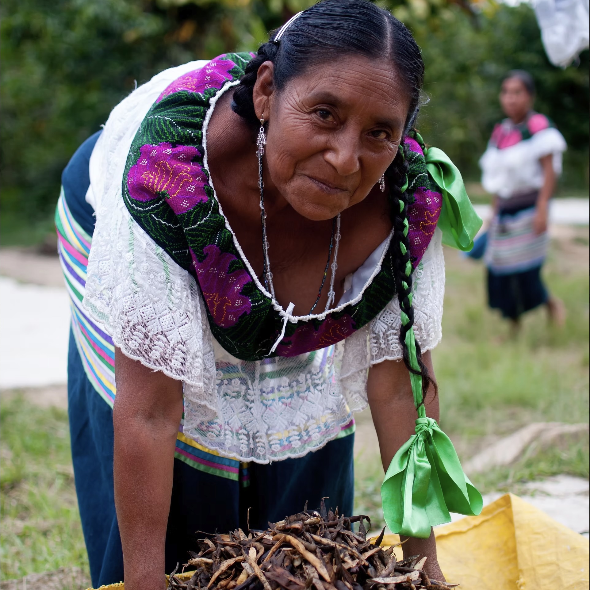 Capeltic Coffee, Chiapas Mexico - woman with coffee beans 