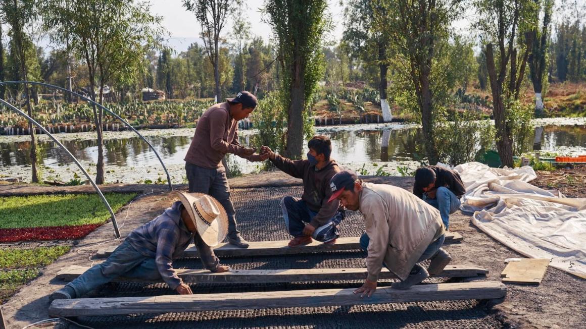 Mexico City 2 - workers laying down wood planks 