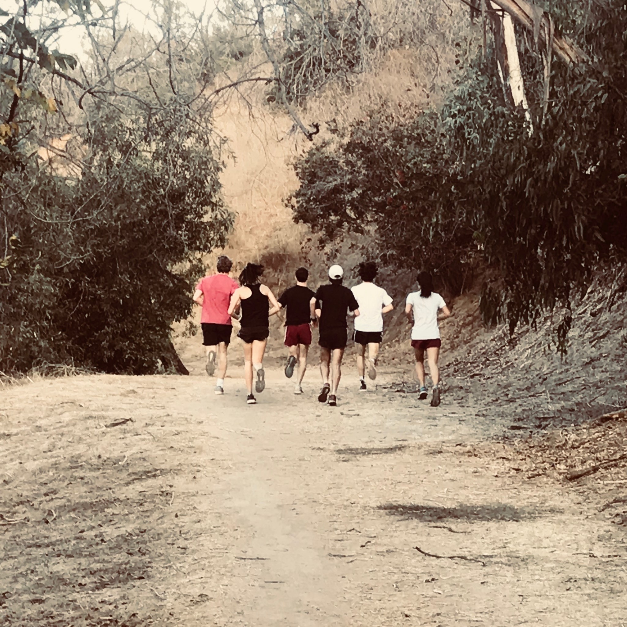 Cross Country Runners