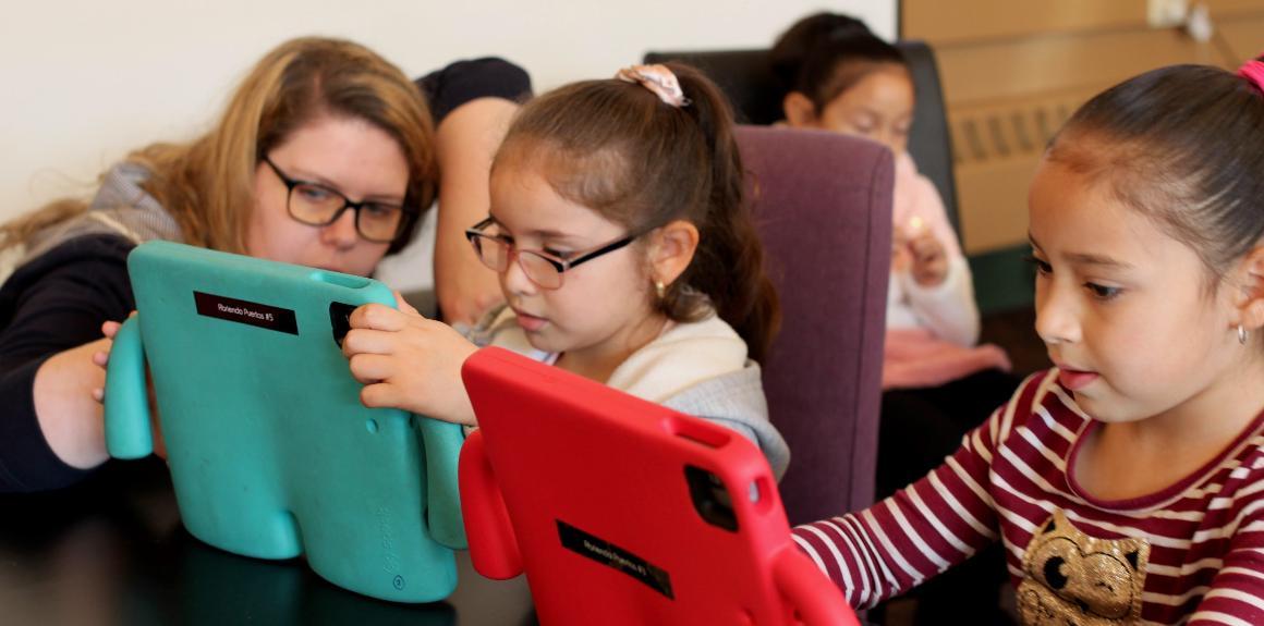 Banner TN iPad Program