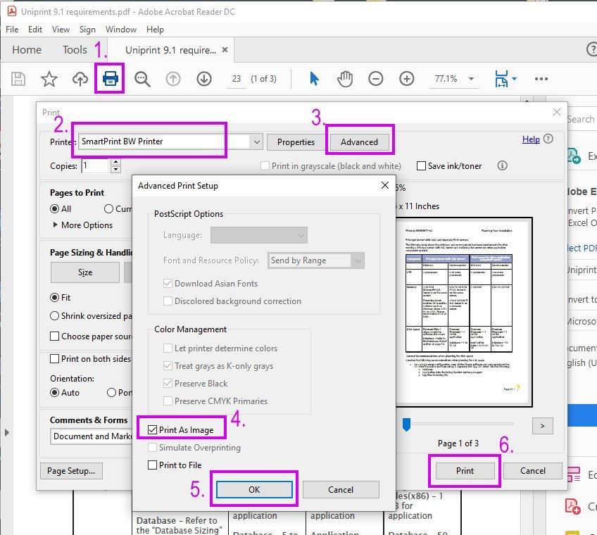 screenshot of the Print As Image feature of Adobe Reader