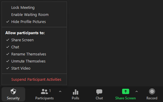 Zoom meeting interface showing participants and controls at the bottom.