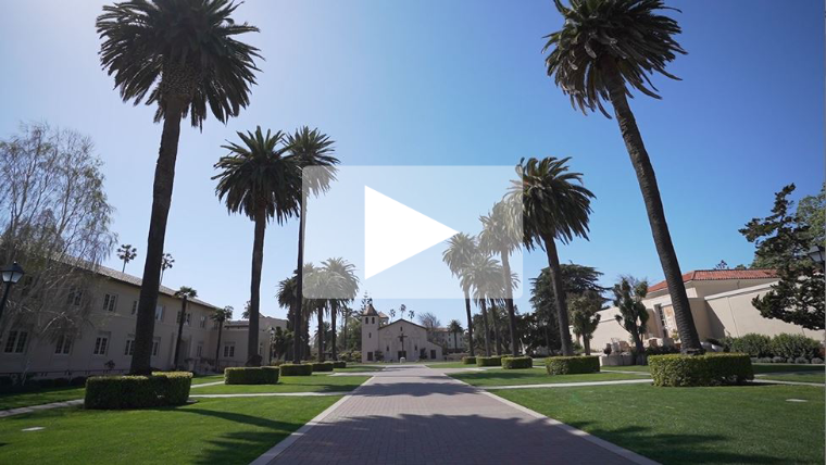 Alt text: Video thumbnail with a play button, showing a campus pathway lined with palm trees.