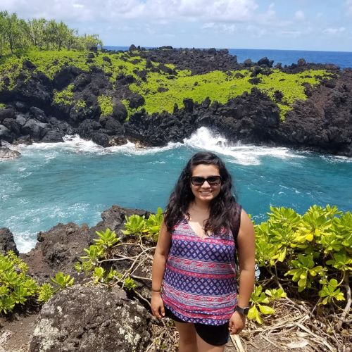 A person standing in front of a scenic ocean view.