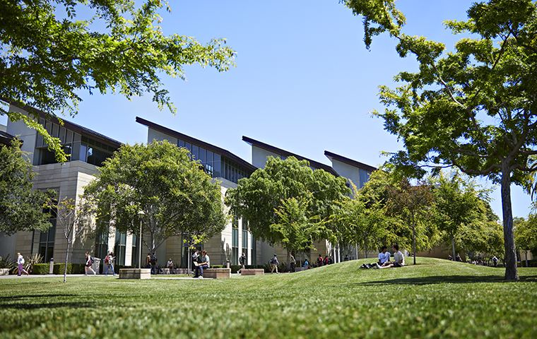 View of library from side with grass in foreground image link to story