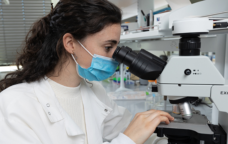 Student looks through microscope in Brian Bayless's lab