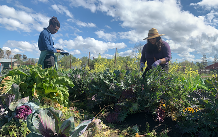 Two people gardening in Emma Prusch Park
