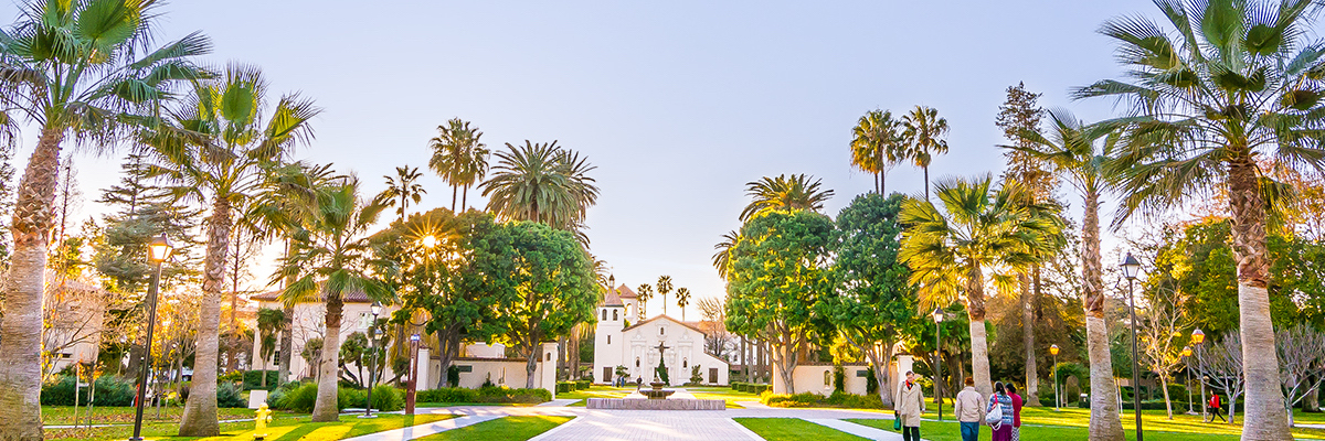 Palm Drive during Golden Hour