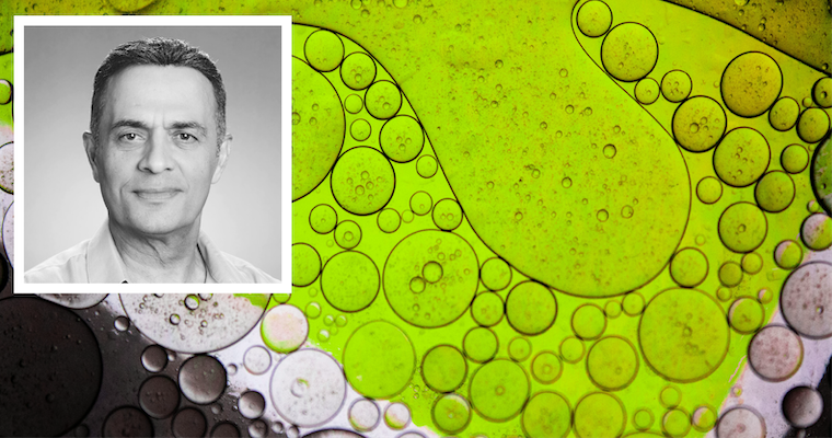 Leavey lecturer of management Nik Tehrani headshot over a microscope image of algae