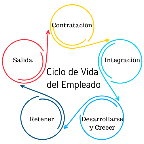 Ciclo de Vida del Empleado Gráfico