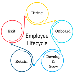 Employee Lifecycle Graphic