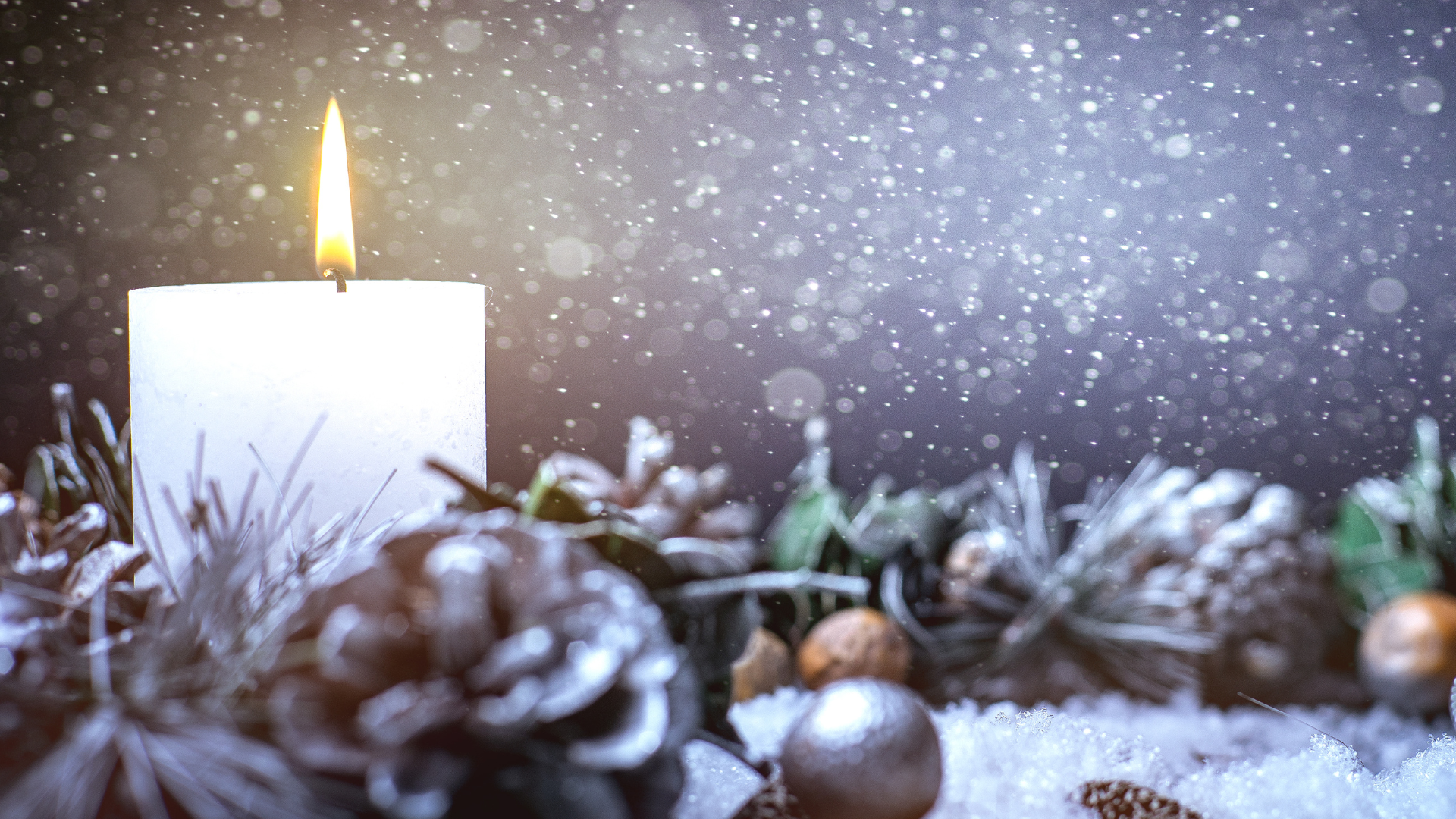 A candle among snow-covered pine cones