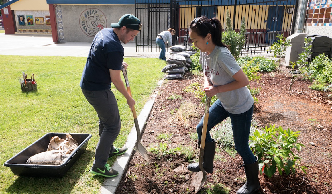 Two people working in a garden during community service. 