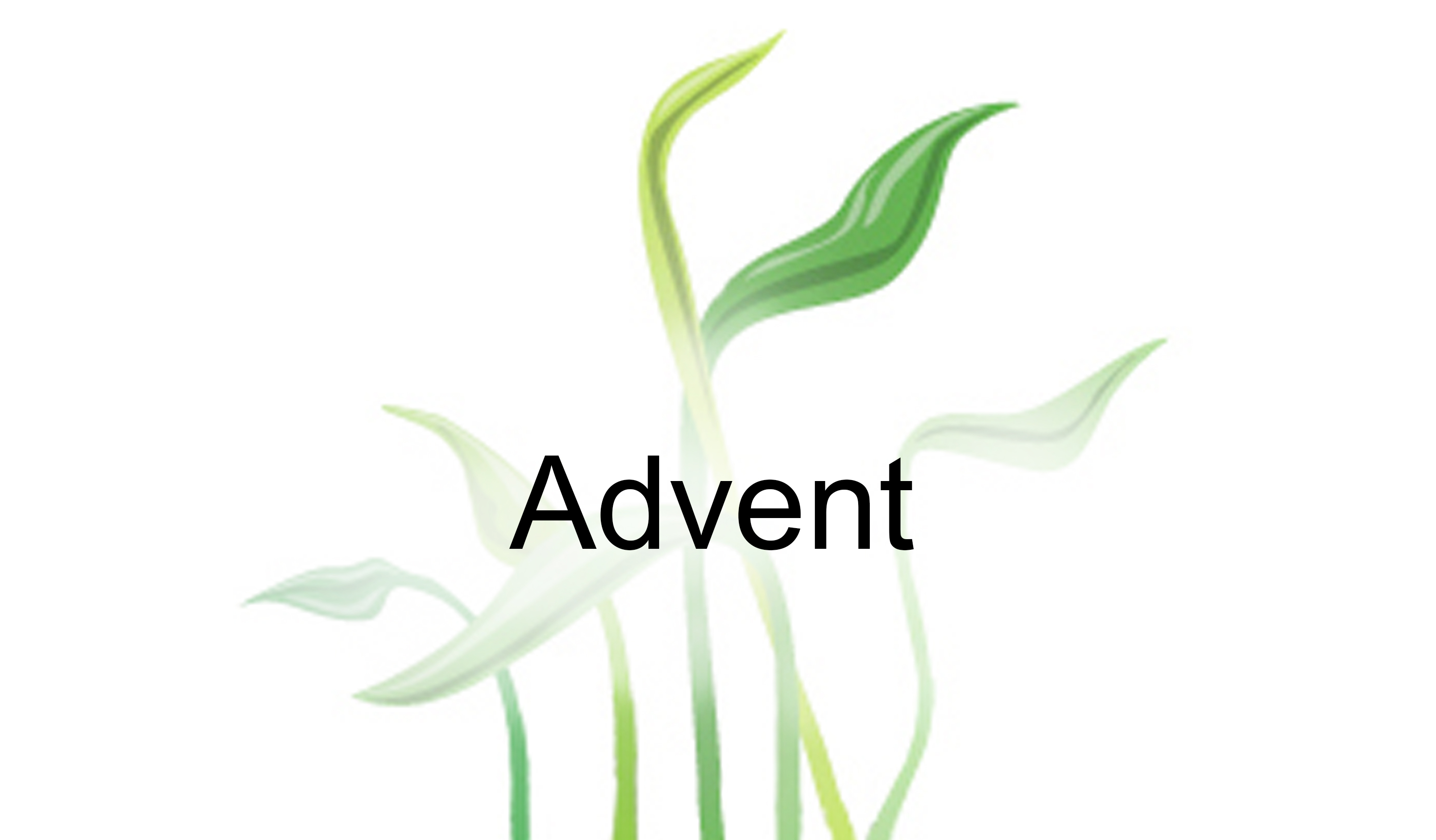 Advent text with green leaves and stems on white background.