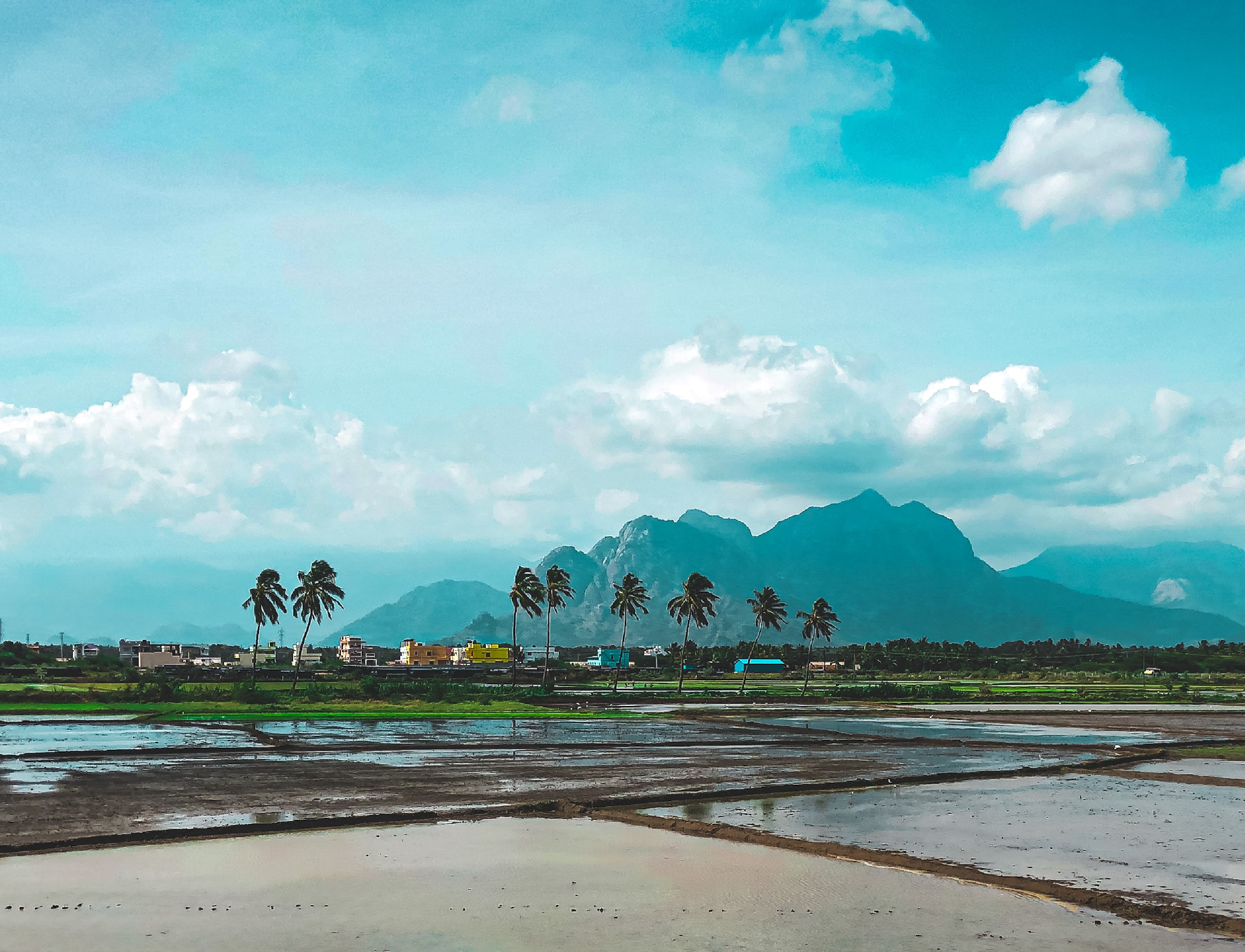 Decorative; landscape mountain scenery 