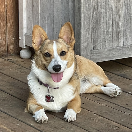 Piper (Chris Hanson)