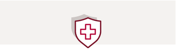Icon of medical shield 