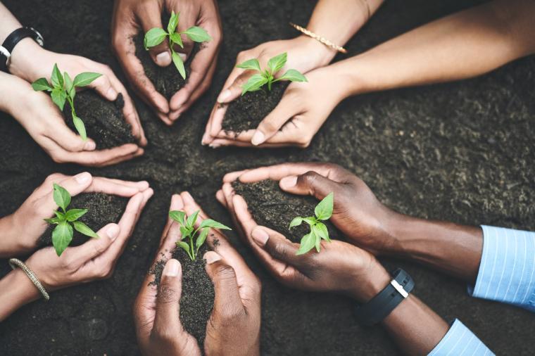 Circle of hands each holding a starter plant over soil