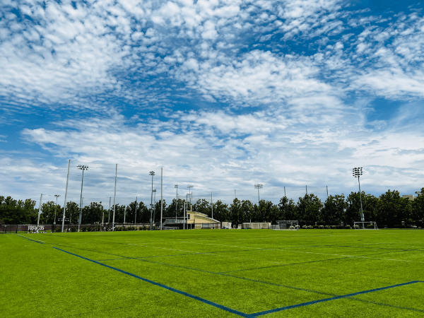 Bellomy Field turf picture