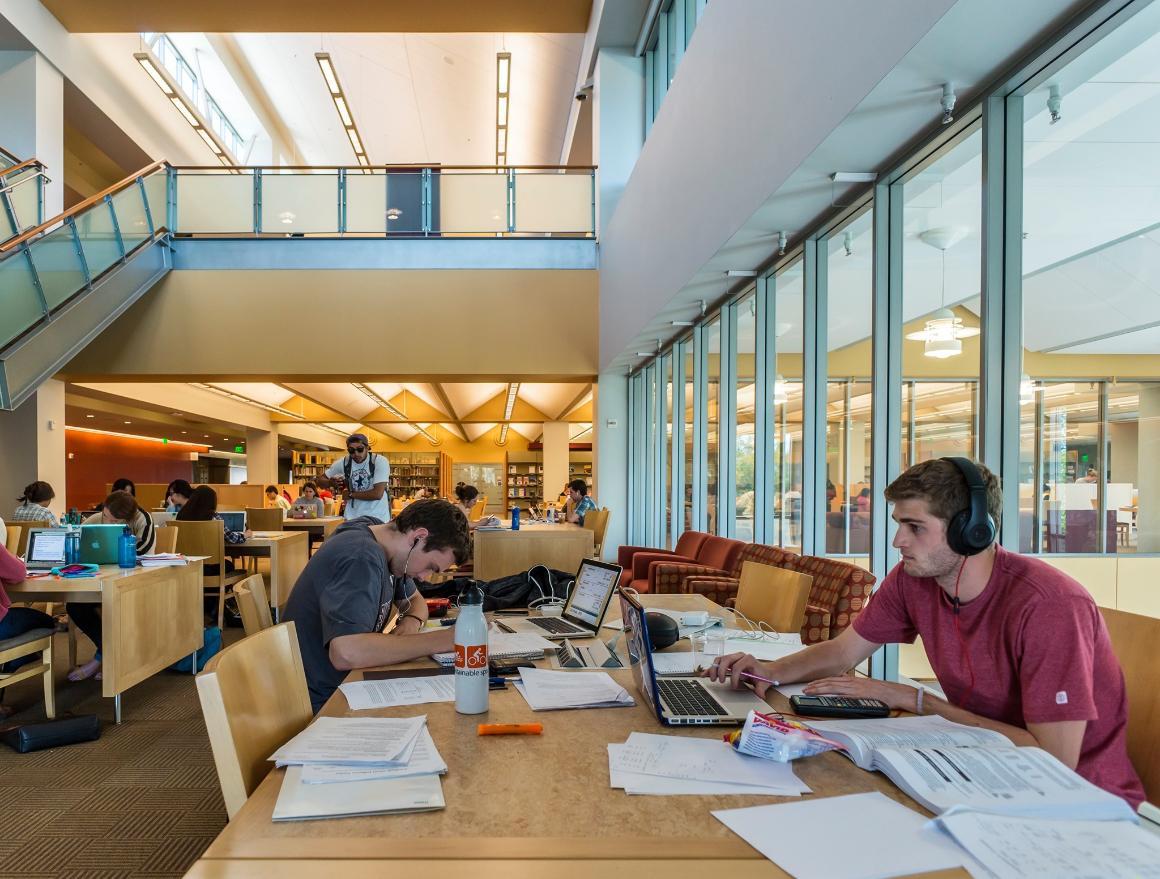 Students studying in the SCU Library