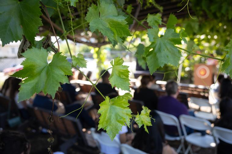 2025 Sustainability Celebration: Vine Covered Pergola in the Forge Garden