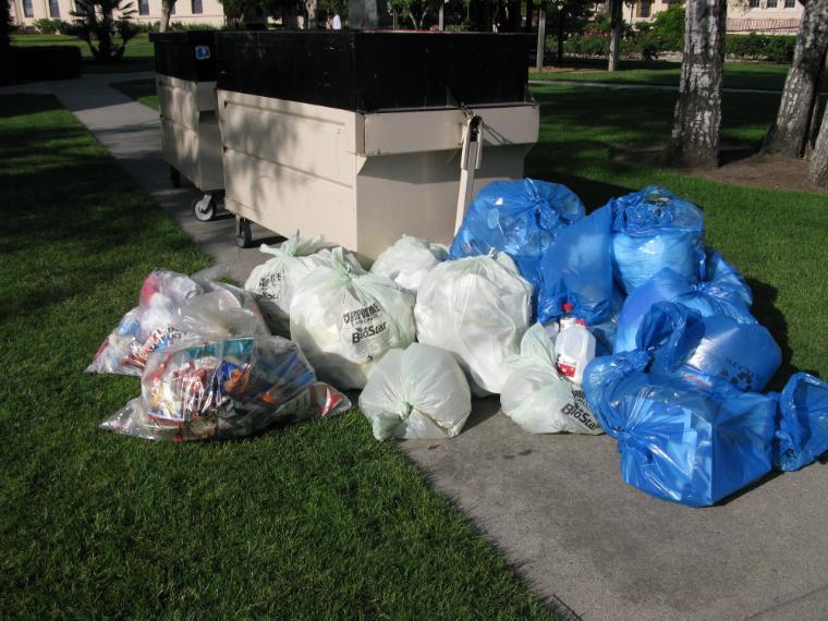 waste properly sorted after a waste characterization