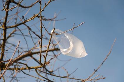 A plastic bag caught in tree branches against a clear blue sky.