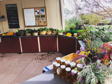 fruits and veggies ready for the farm stand in the outdoor kitchen