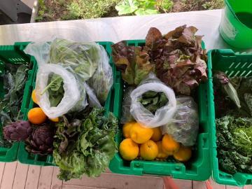 Produce donation to Bronco Pantry