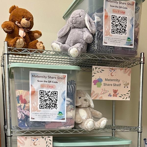 Two shelfs containing clear plastic bins filled with clothing. A stuffed bear sits atop the bin.