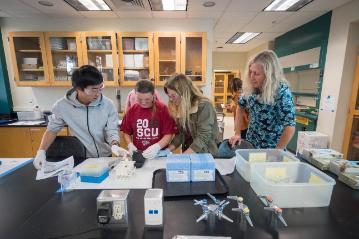 Water Resources lab with Dr. Iris Stewart-Frey. Photo credit: Chuck Barry 