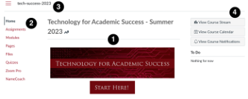 Camino Window Example