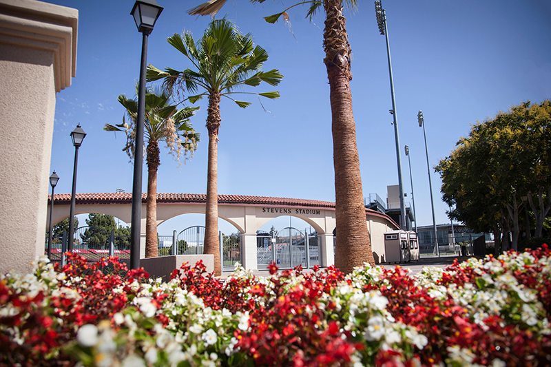 Red and white flowers with a stadium in the background amidst palm trees.