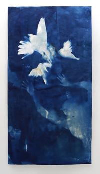 White flowers on a dark blue abstract background. image link to story