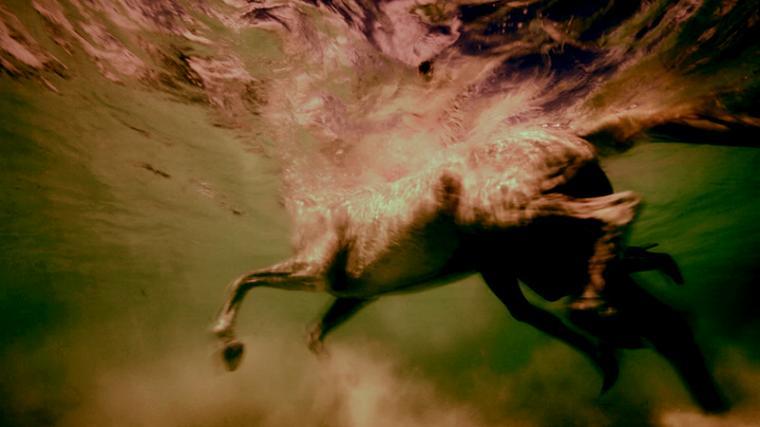 Credit line:  Ana Teresa Fernández, Arrastre 4, 2013, photographic print on silver diploid. © Ana Teresa Fernández, Courtesy of Gallery Wendi Norris, San Francisco.