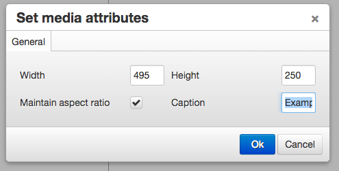 Media Properties form