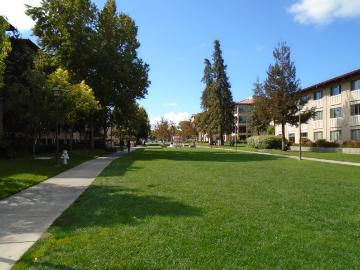 A green lawn and walkway at Accolti Mall with trees and buildings.