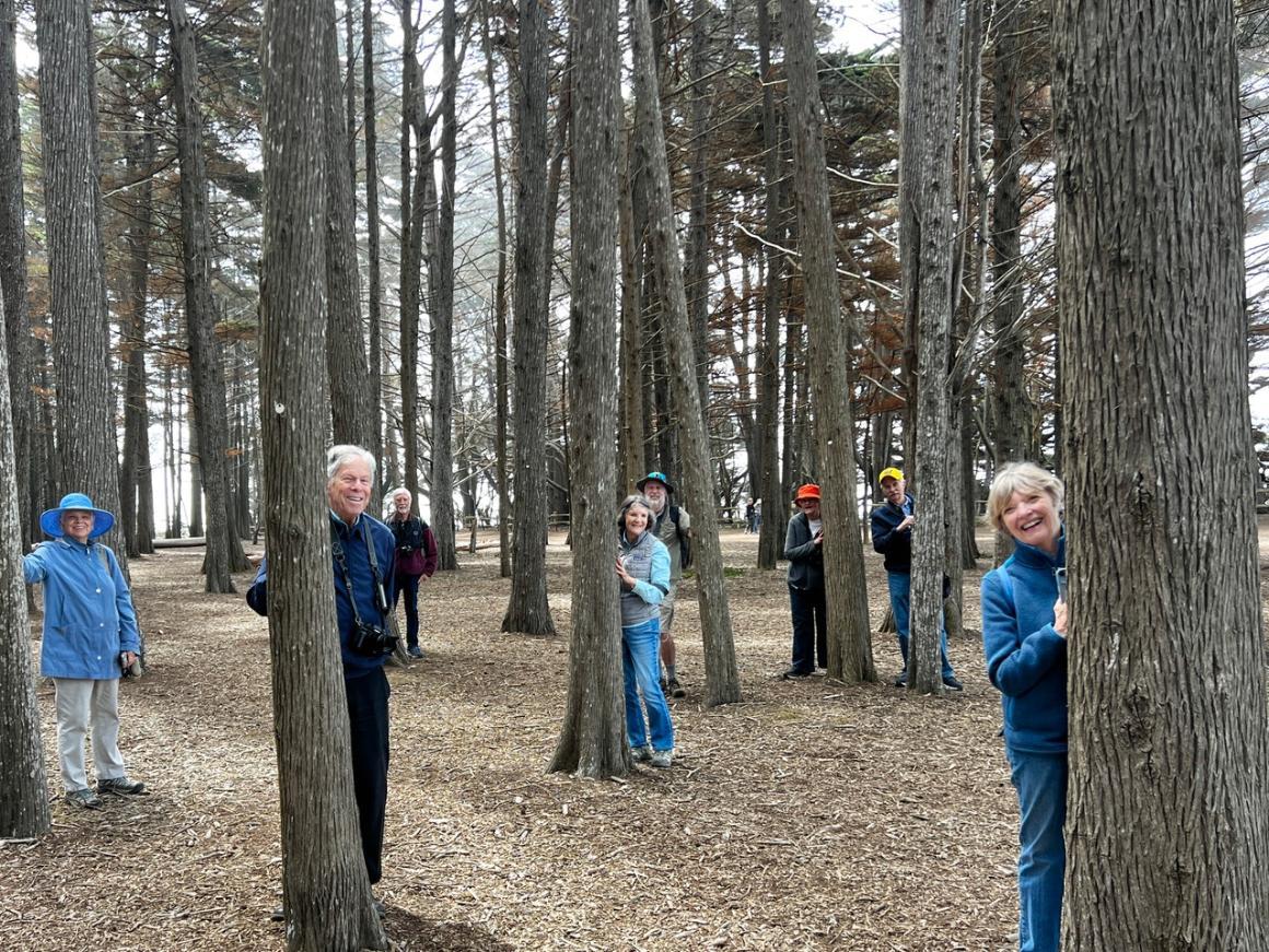 Photography SIG Picture Among the Trees