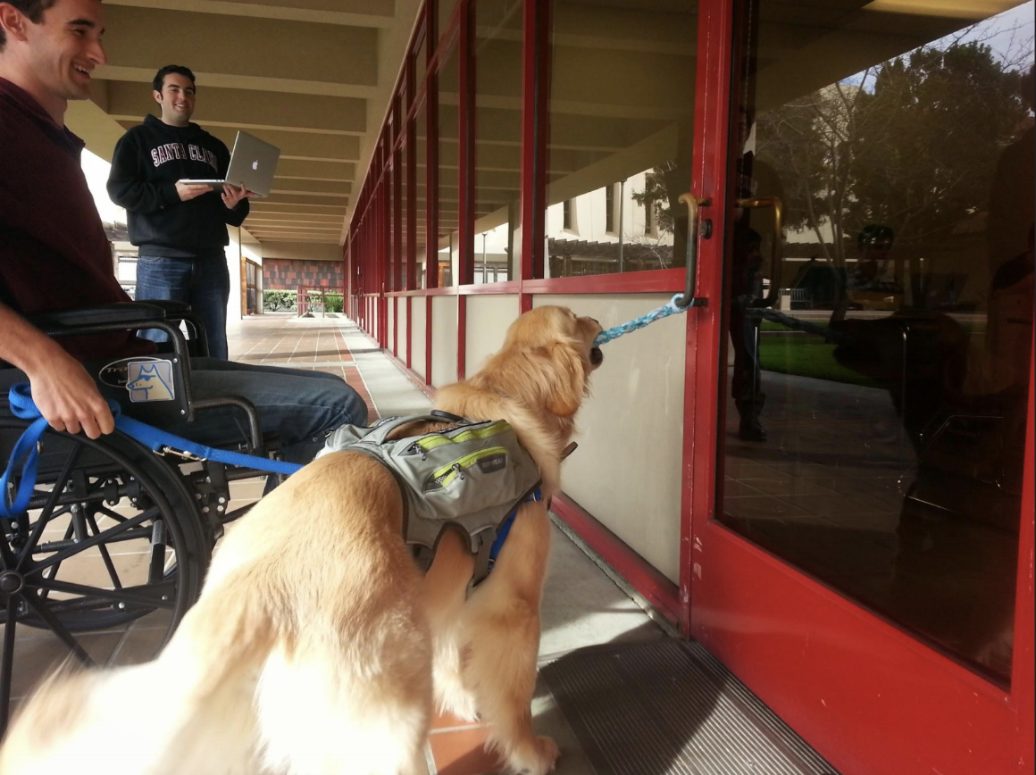Students testing the Halo Dog Training Door Tug Prototype